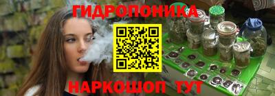 гидропоника Гусиноозёрск